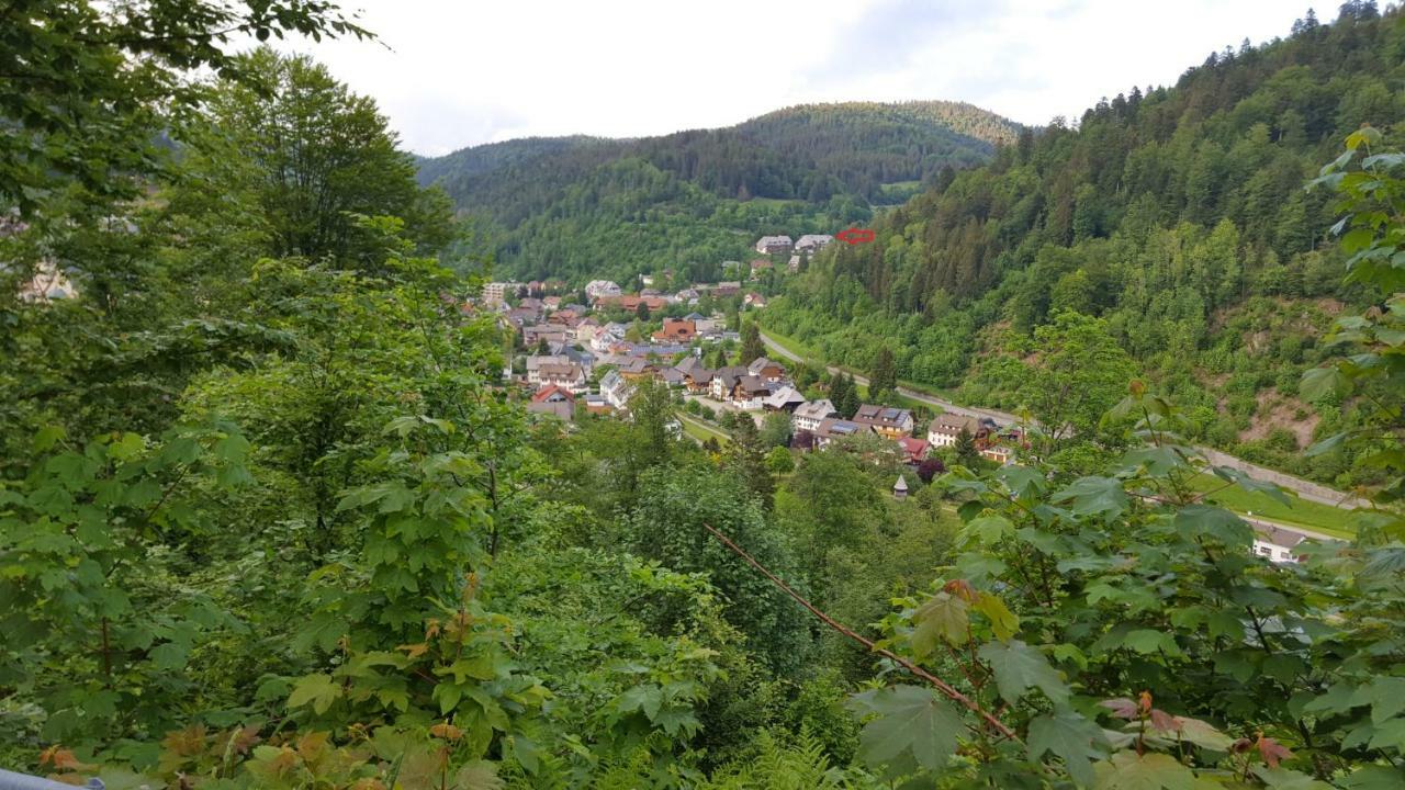 تودموس Ferienwohnung Im Schwarzwald المظهر الخارجي الصورة